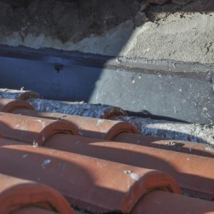 Pigeon Damage Removal Falkirk